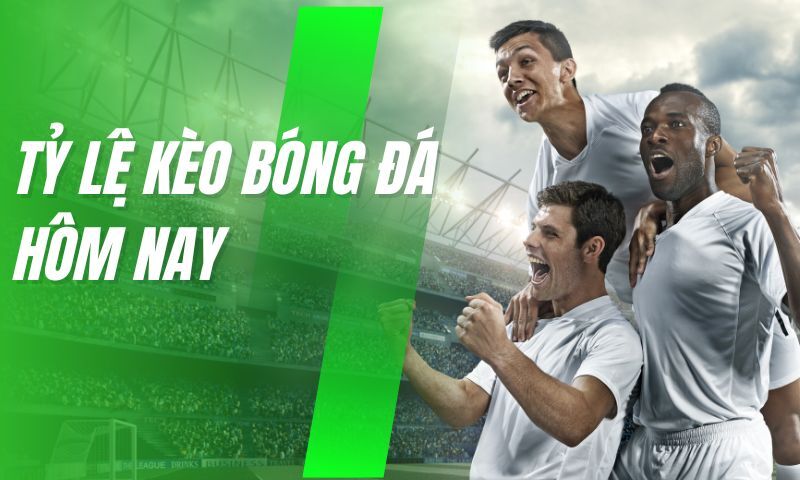 Mitom – Không chỉ trực tiếp, còn cập nhật tỷ lệ kèo nhanh đến từng giây