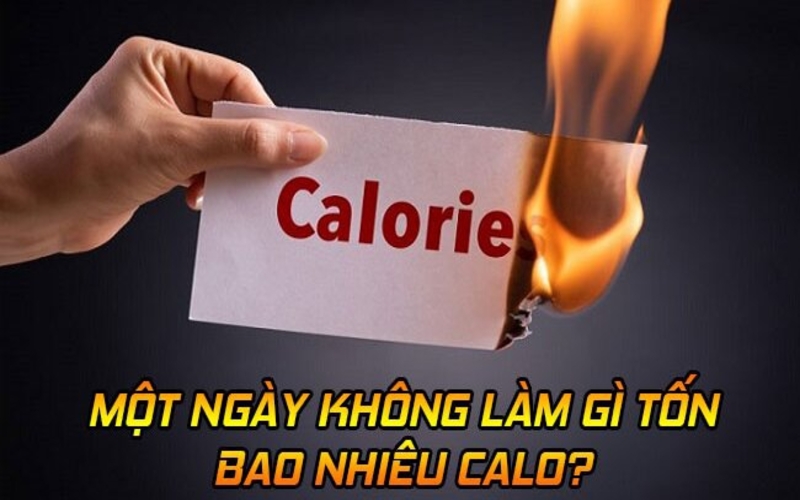 Trong 1 ngày không làm gì tốn bao nhiêu calo? Sự thật ít ai ngờ tới