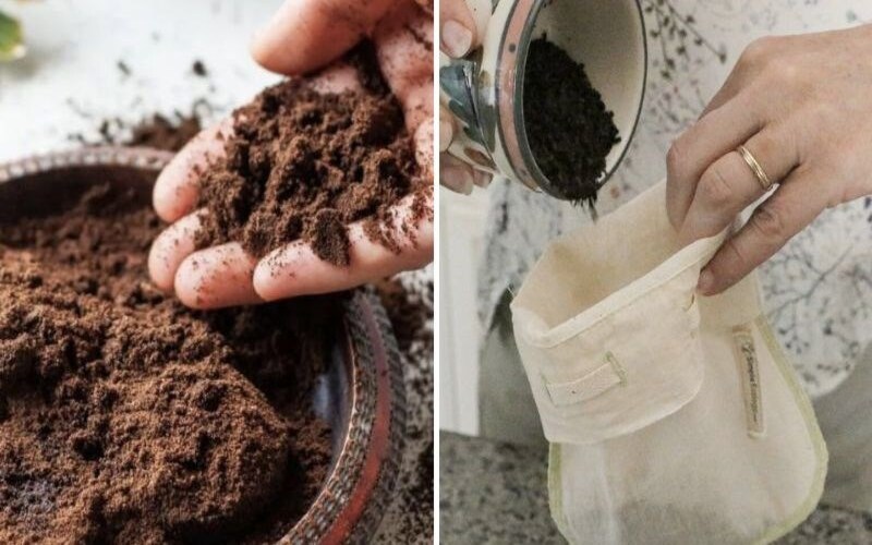 Bật mí tác dụng của bã cà phê trong làm đẹp và đời sống cần biết 