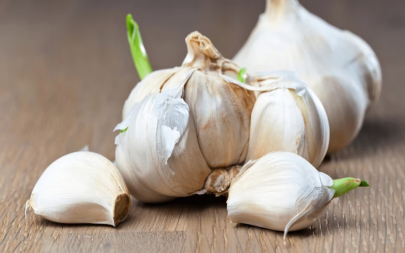 Kiến thức khoa học: Tỏi mọc mầm có ăn được không? 