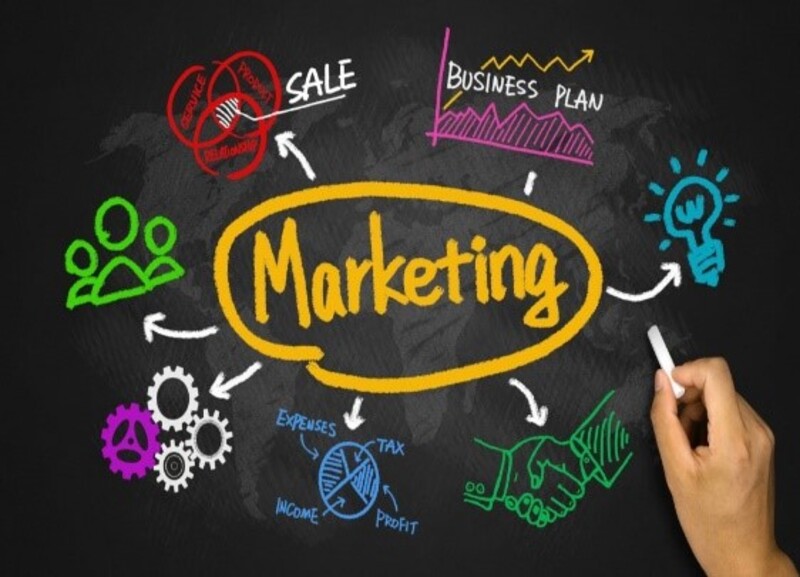 Người học kinh tế có thể phát triển trong lĩnh vực marketing, truyền thông, thương mại điện tử và bán hàng. 